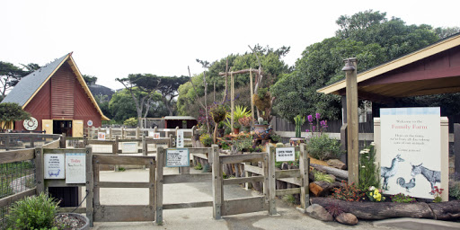 Children’s zoo in Tenderloin and Presidio Park