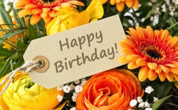 Happy Birthday Wishes, Quotes and Messages